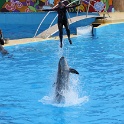 Marineland - Dauphins - 082